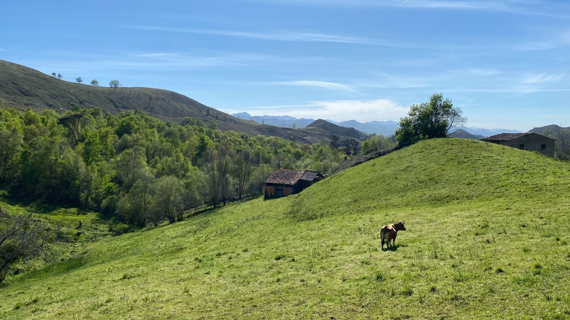 Exterior view of Residential for sale in Onís