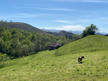 Terreni e lotti in vendita a Pedroso