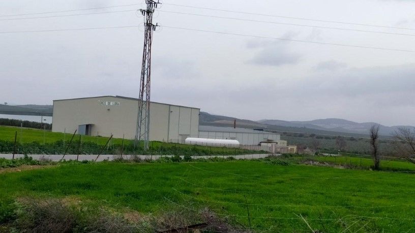 Fabrikhallen zum verkauf in GARCÍA LORCA, 16, Aguadulce (Sevilla)