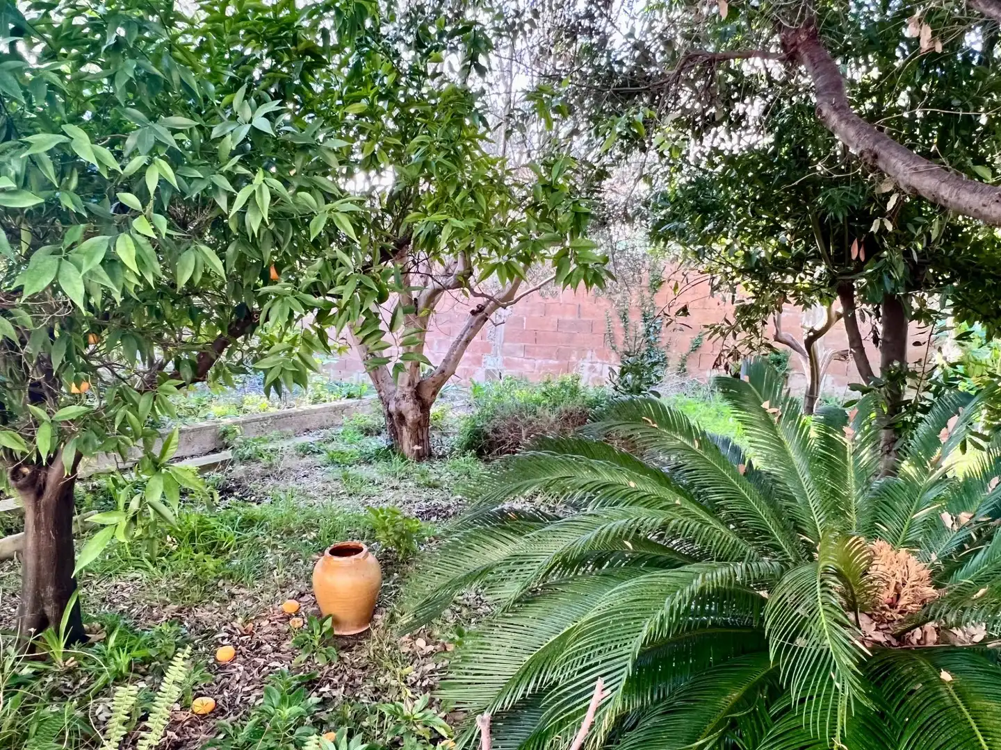 Jardín de Casa o chalet en venta en Selva