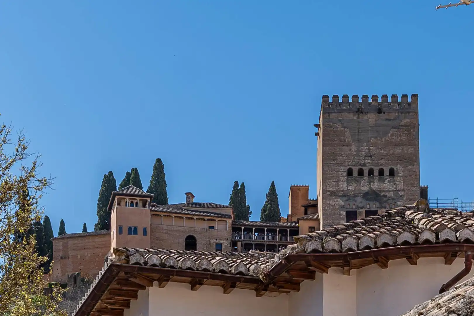 Exterior view of Buildings for sale in Granada