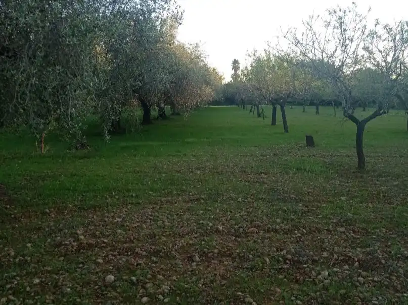 Maison rustique à vendre à Avinguda de la Llibertat 1, imagen 6