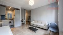 Living room of Flat to rent in  Madrid Capital  with Air Conditioner, Heating and Furnished