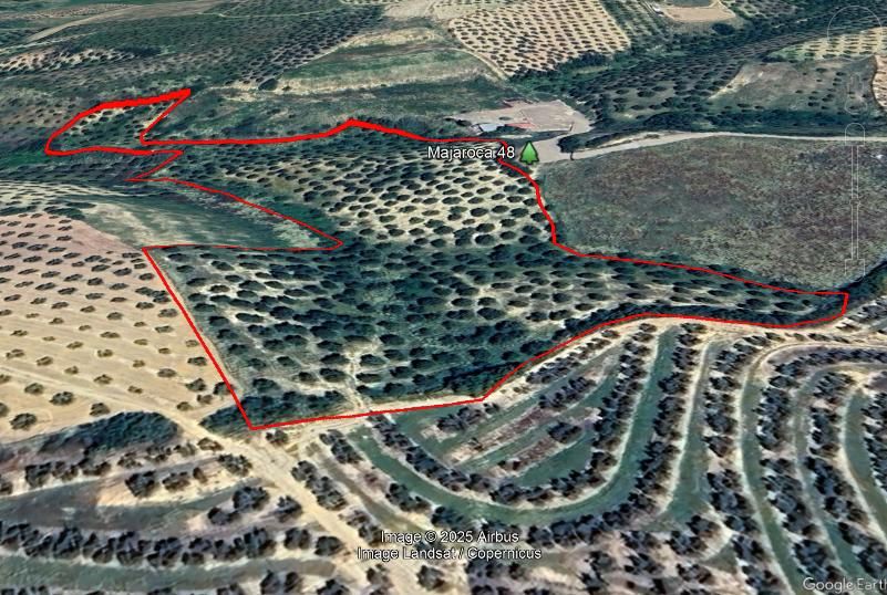 Terreny en venda en Sanlúcar la Mayor