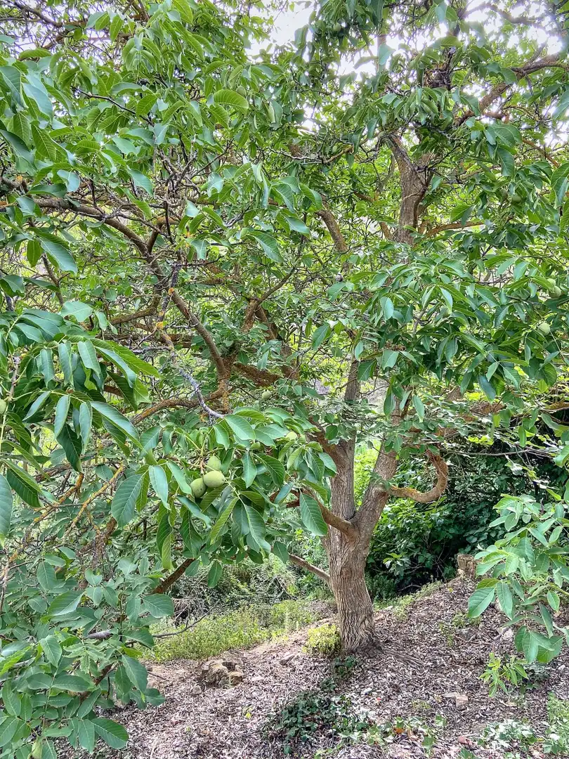 Casa rústica en venda a Riogordo, imagen 40