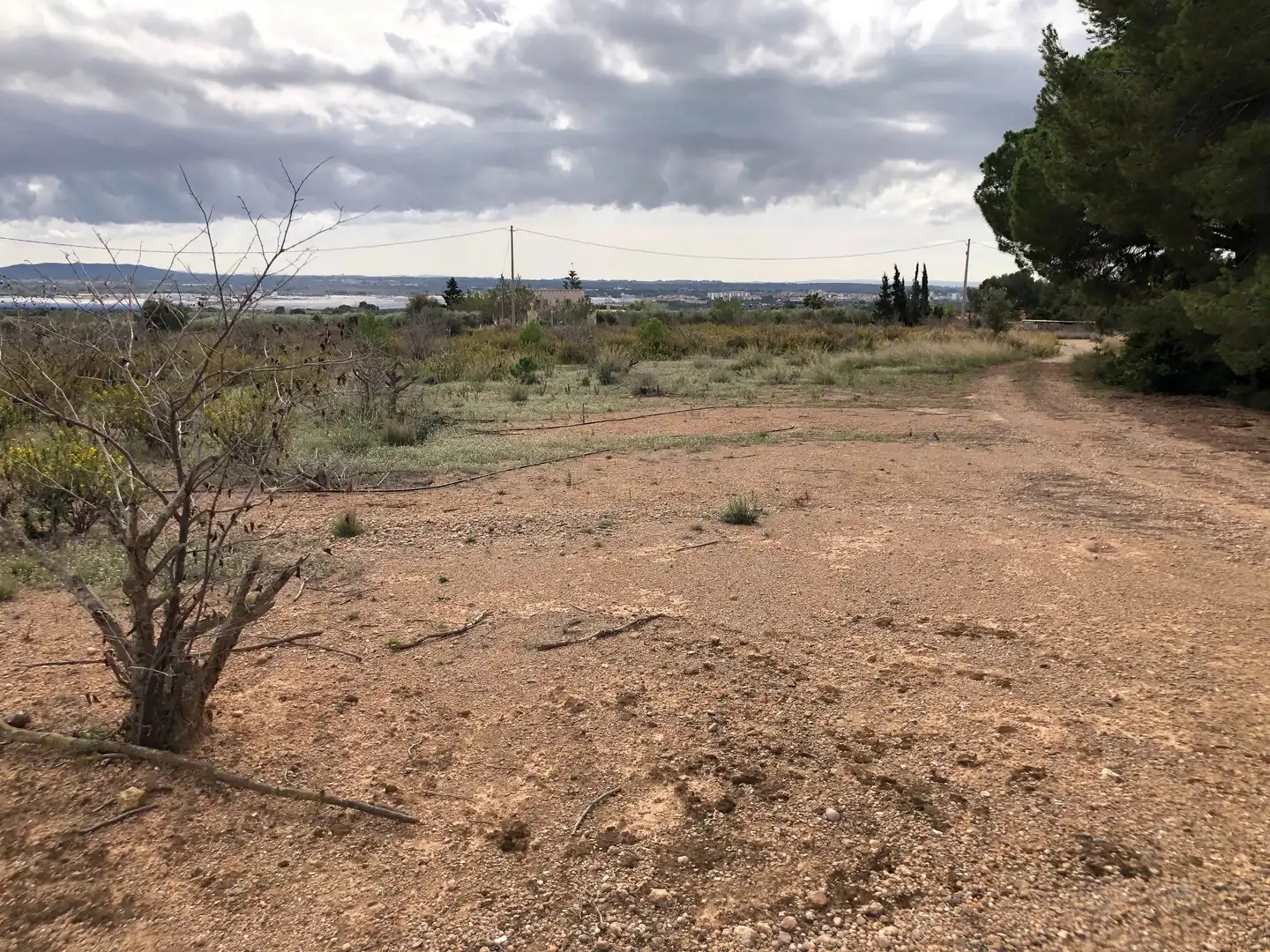 Terreno rústico en venta en Partida Alborada 1, imagen 11