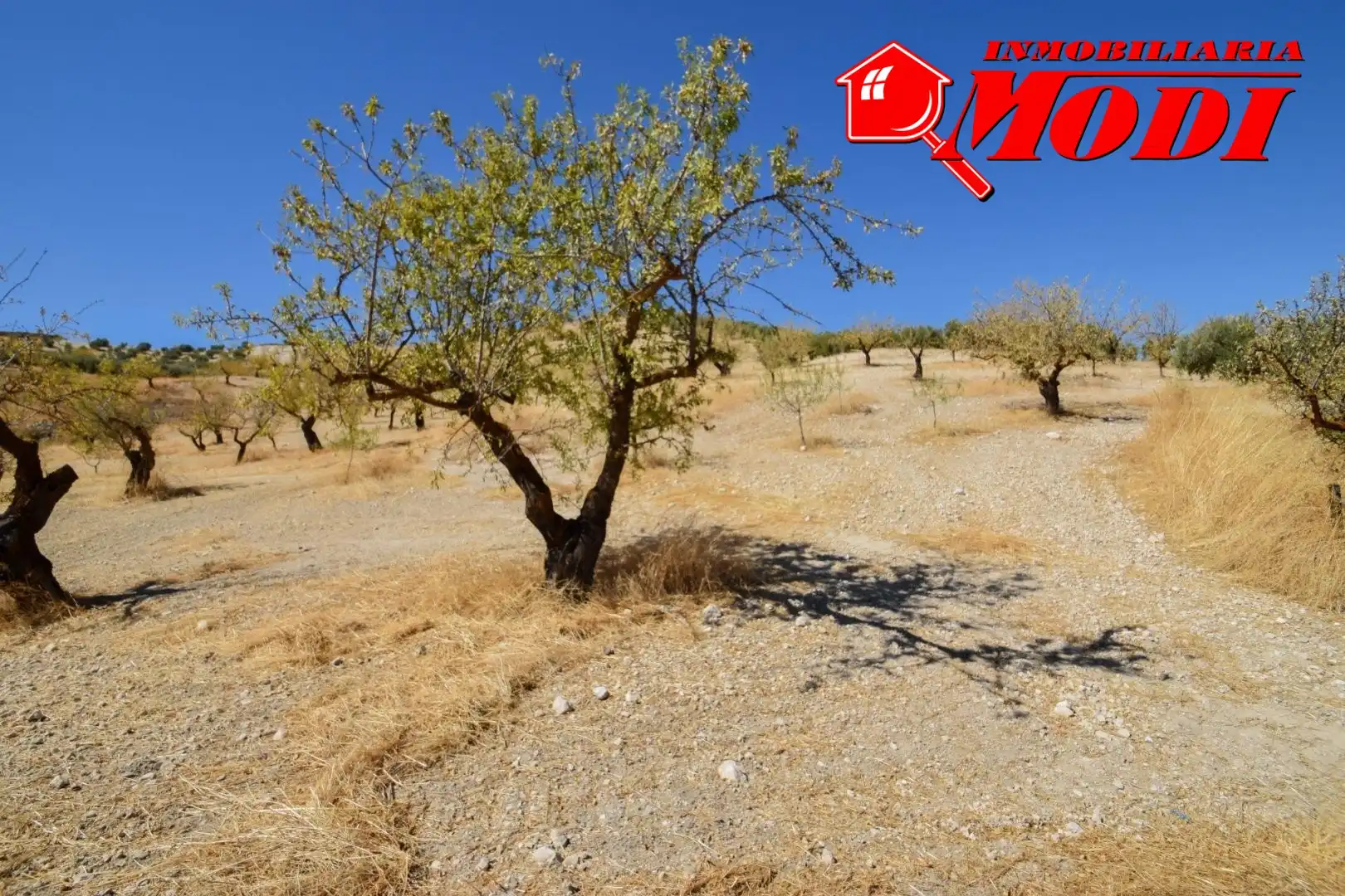 Finca rústica en venda en Cacín amb Jardí privat