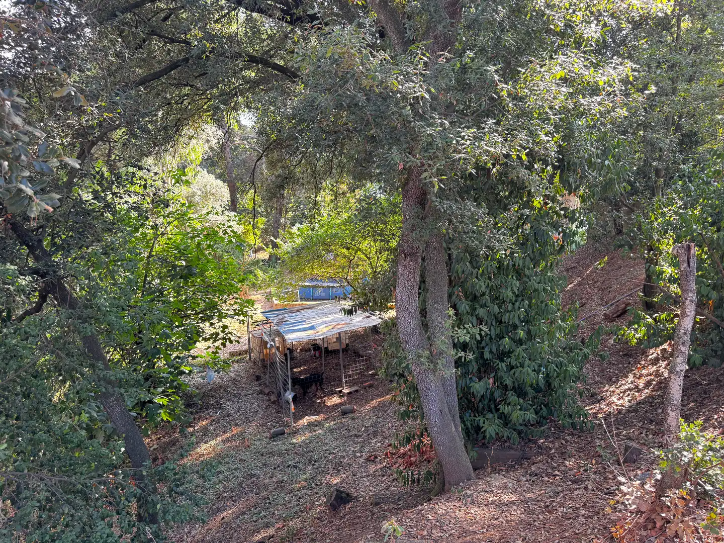 Garten von Residential zum Verkauf in Sant Pere de Vilamajor