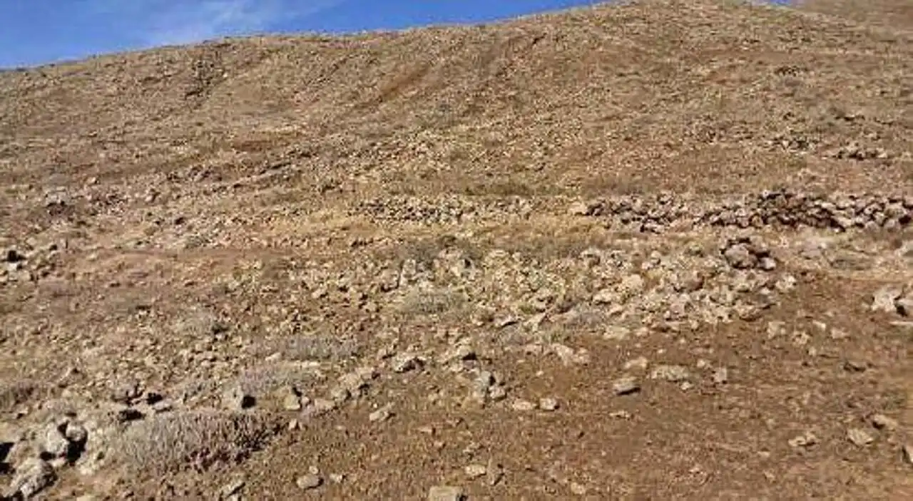 Land for sale in La Hoya