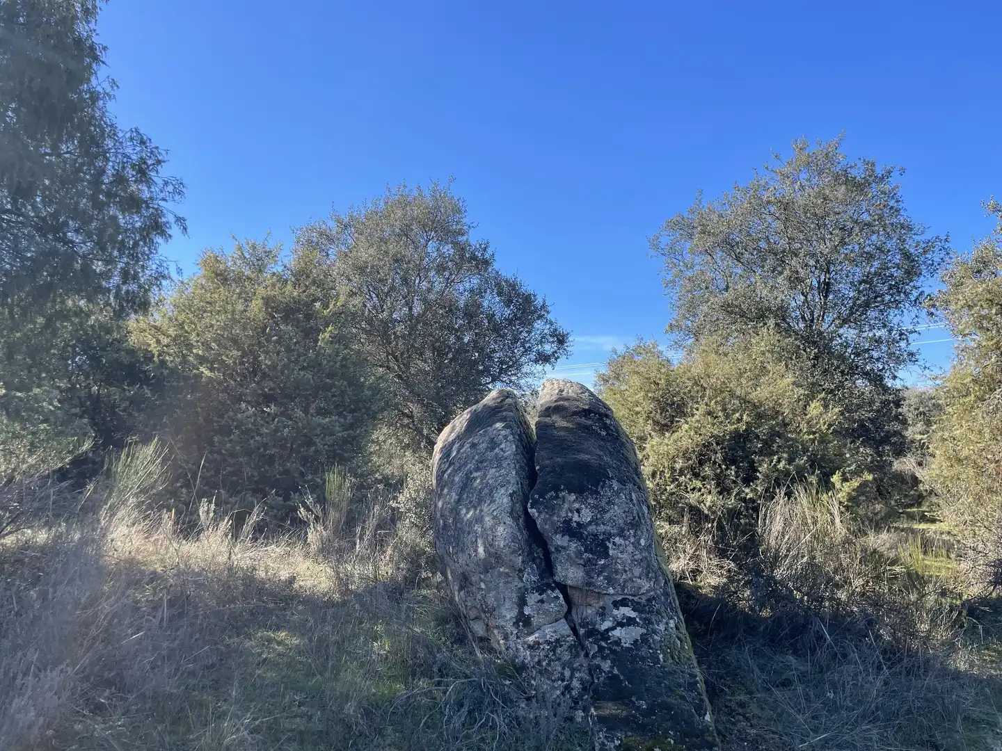Terreni e lotti in vendita a Fresnedilla, imagen 3