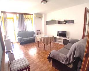 Sala d'estar de Apartament de lloguer en Badajoz Capital amb Aire condicionat, Terrassa i Balcó