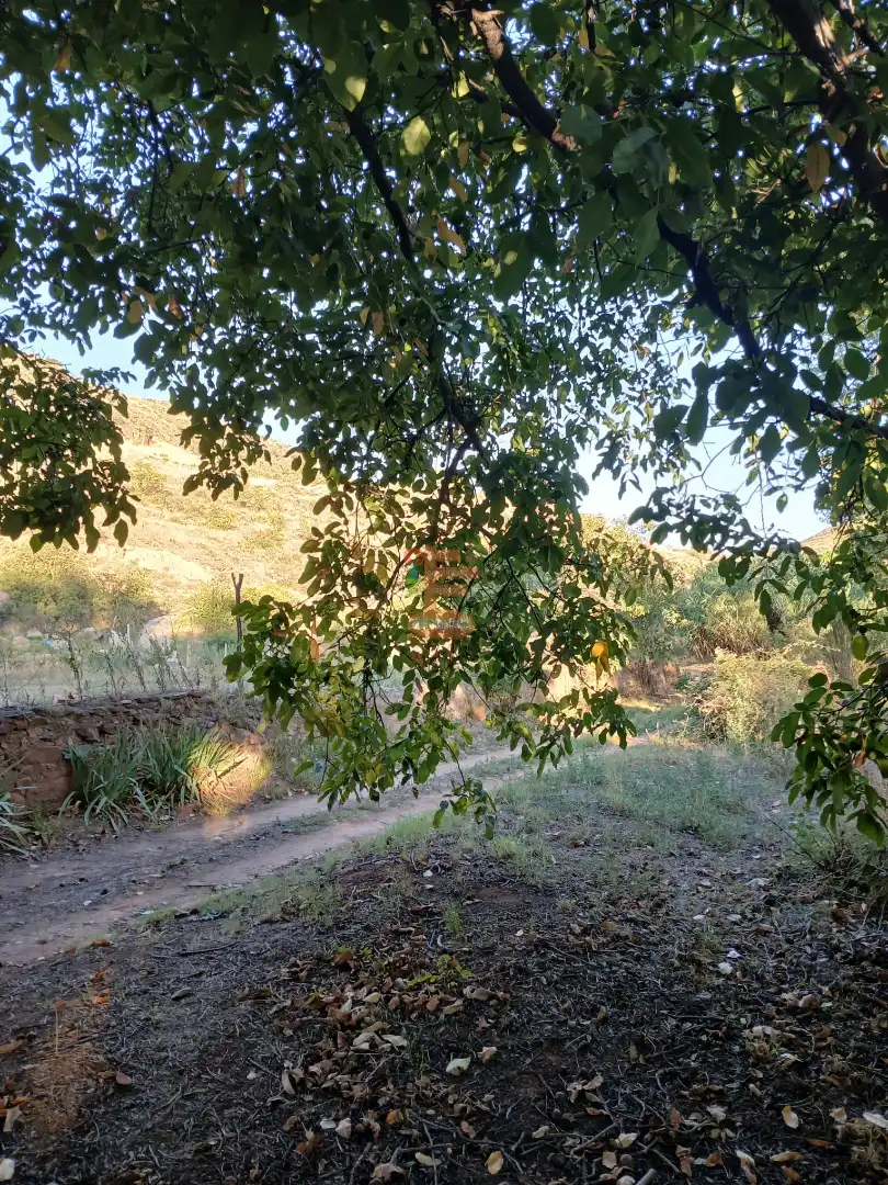 Terreni e lotti in vendita a Calle Gotor, imagen 13