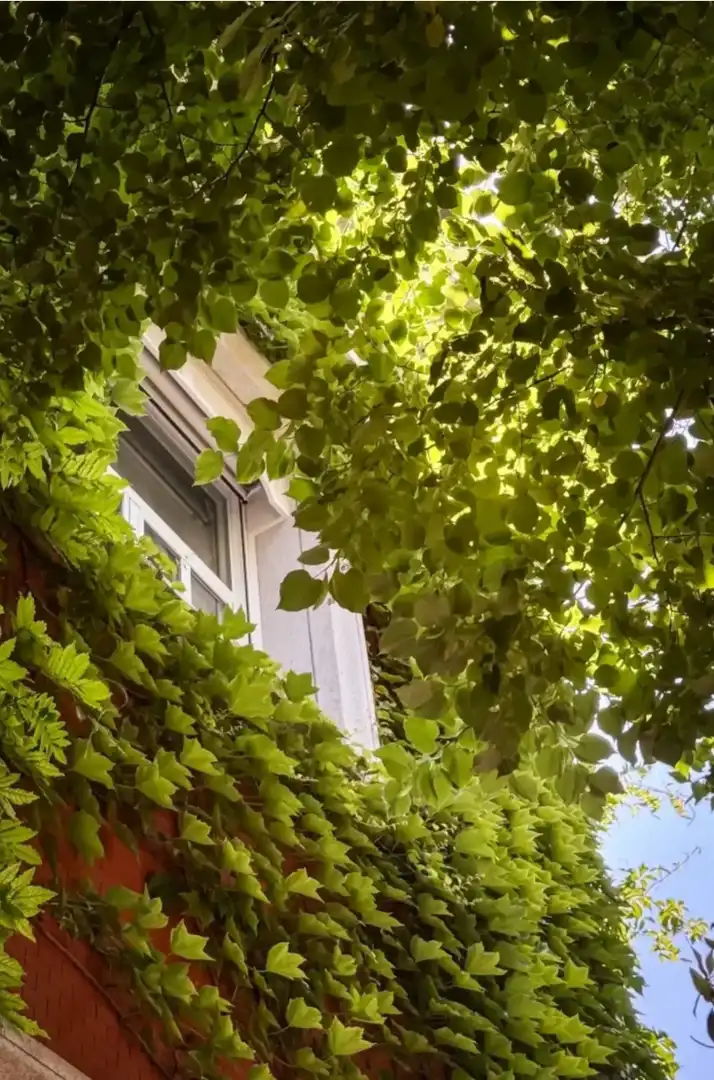 Exterior view of Houses for rent in  Madrid Capital  with Air Conditioner, Heating and Private garden