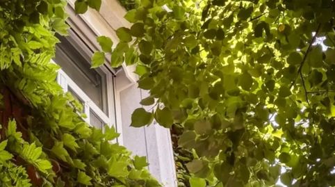 Photo 3 of Houses for rent in El Viso, Madrid Capital
