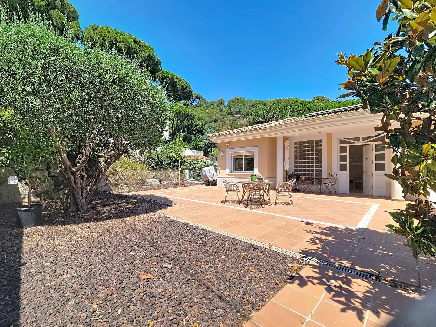 Jardín de Casa o chalet en venta en Premià de Dalt