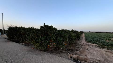 Foto 5 de Terreno en venta en Puerto Deportivo, Alicante