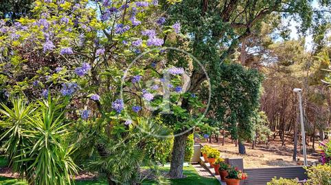 Photo 4 of House or chalet for sale in Carrer Ramon Llull, Teià, Barcelona