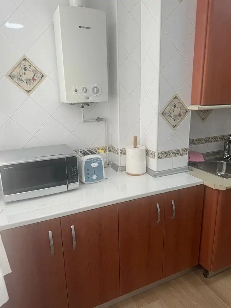 Apartments for rent in Centro