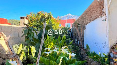 Foto 5 de Casa o chalet en venta en Los Piquetes, La Vega - El Amparo - Cueva del Viento, Icod de los Vinos
