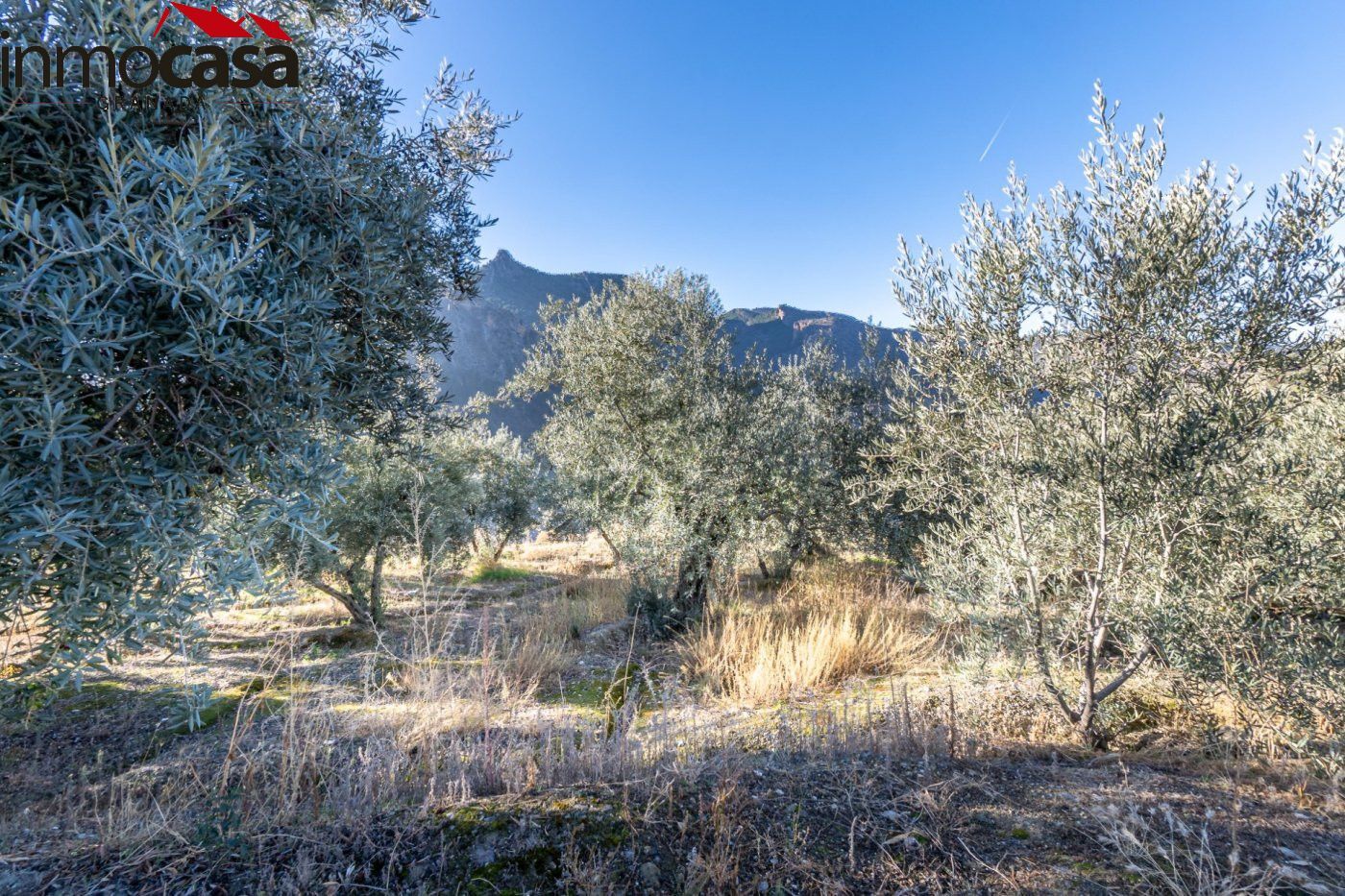 Country house for sale in Güejar Sierra