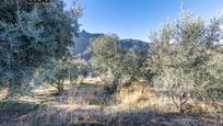 Finca rústica en venda en Güejar Sierra
