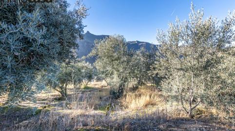 Foto 3 de Finca rústica en venta en Polígono Paraje de la Hoya, Güéjar Sierra, Granada