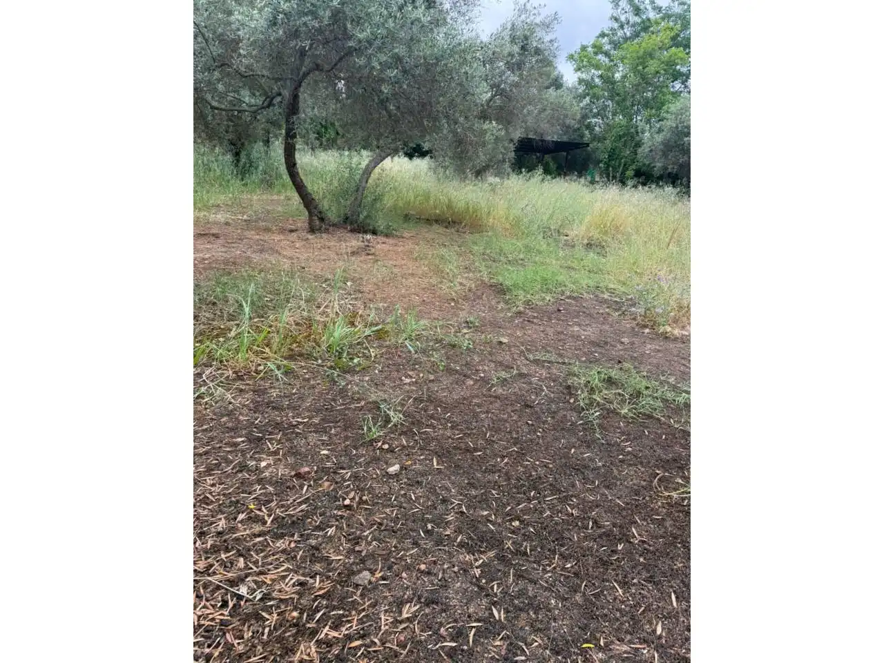 Chalet con jardín en venta en Urbanizacion Tres Palmeras, imagen 17