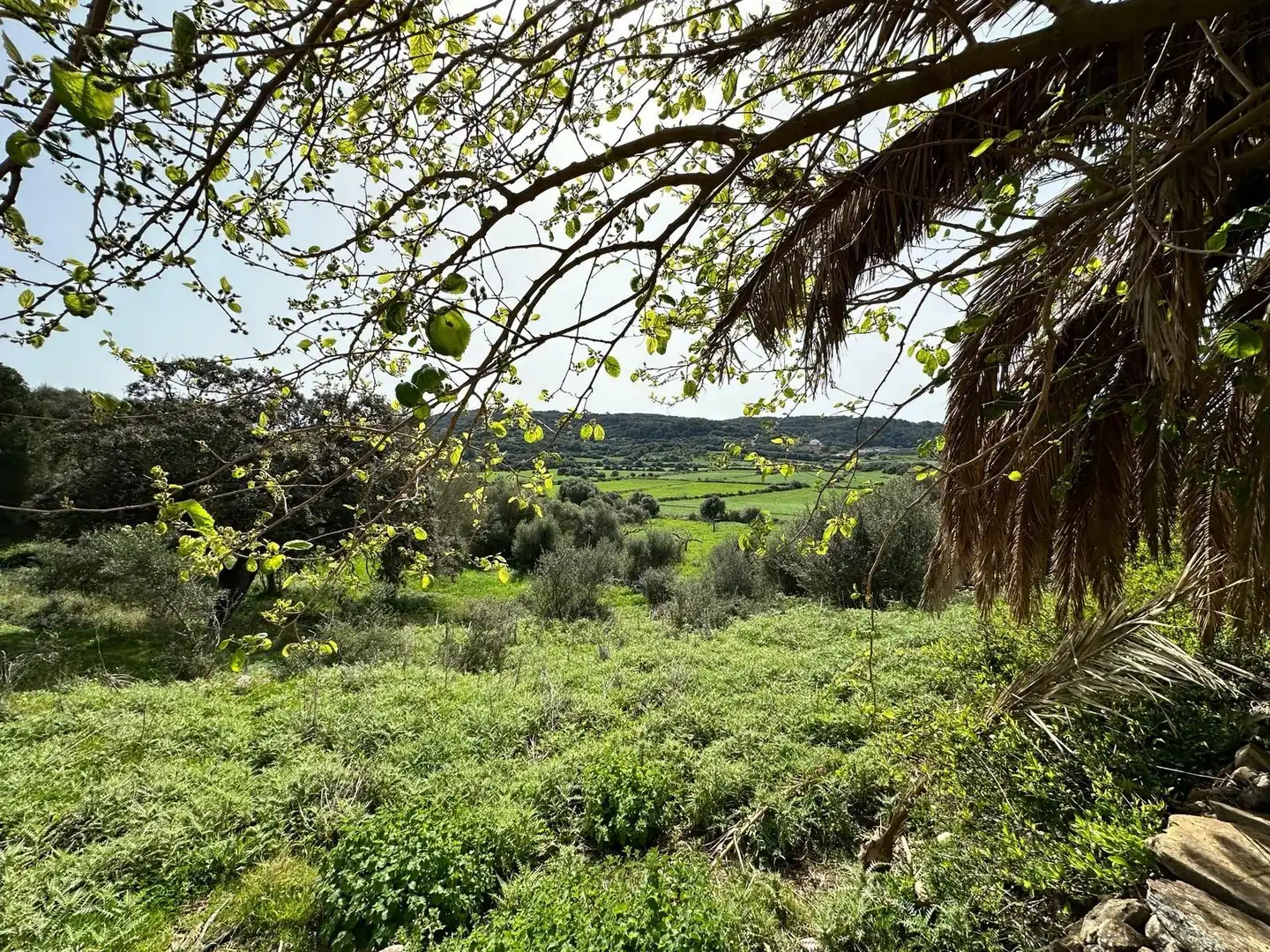 Casa amb jardí en venda a Ferreries poble, imagen 23