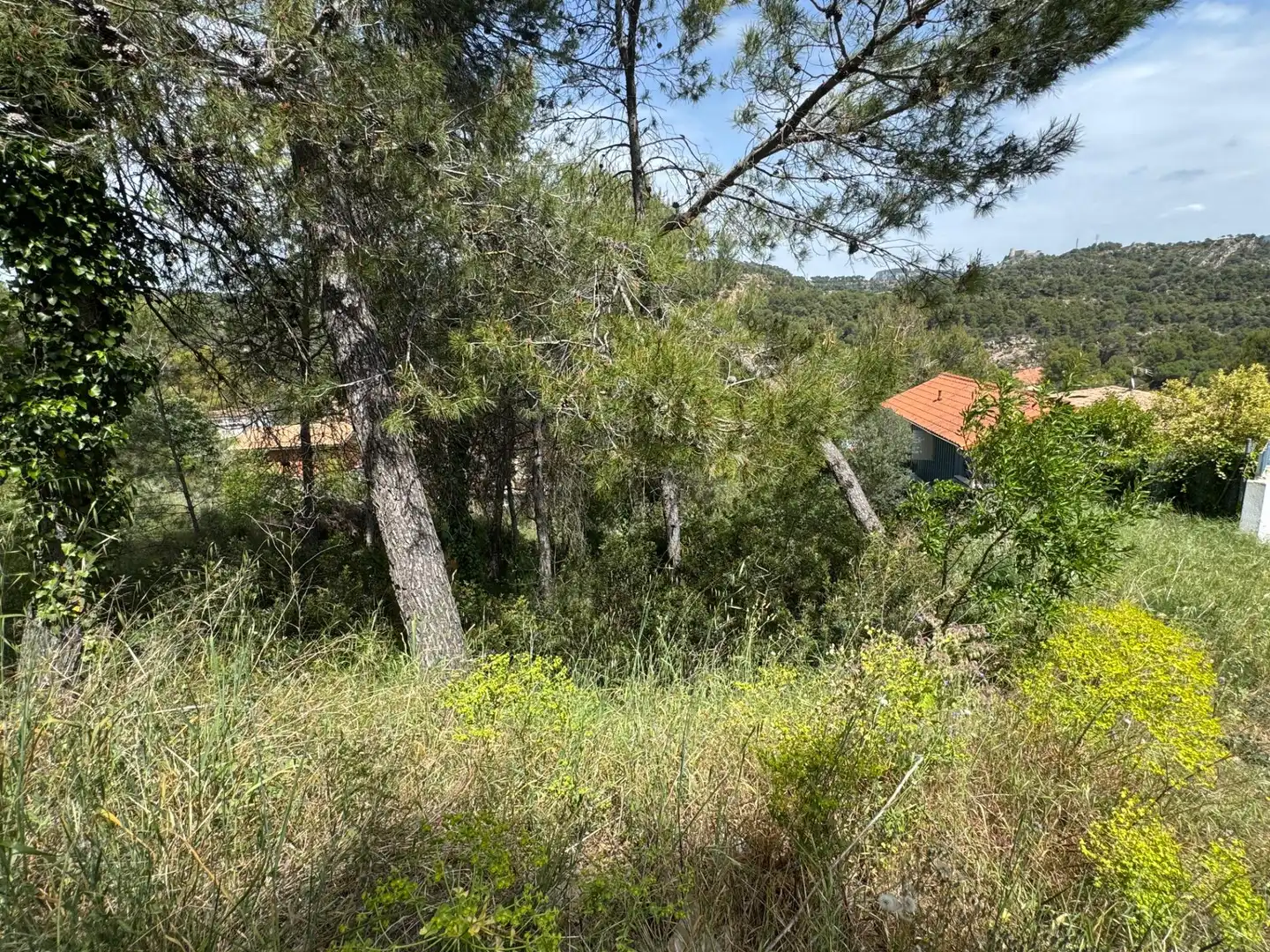Residential land for sale in La Pobla de Claramunt, imagen 2