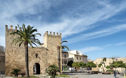 Vista exterior de Casa o xalet en venda en Alcúdia amb Terrassa