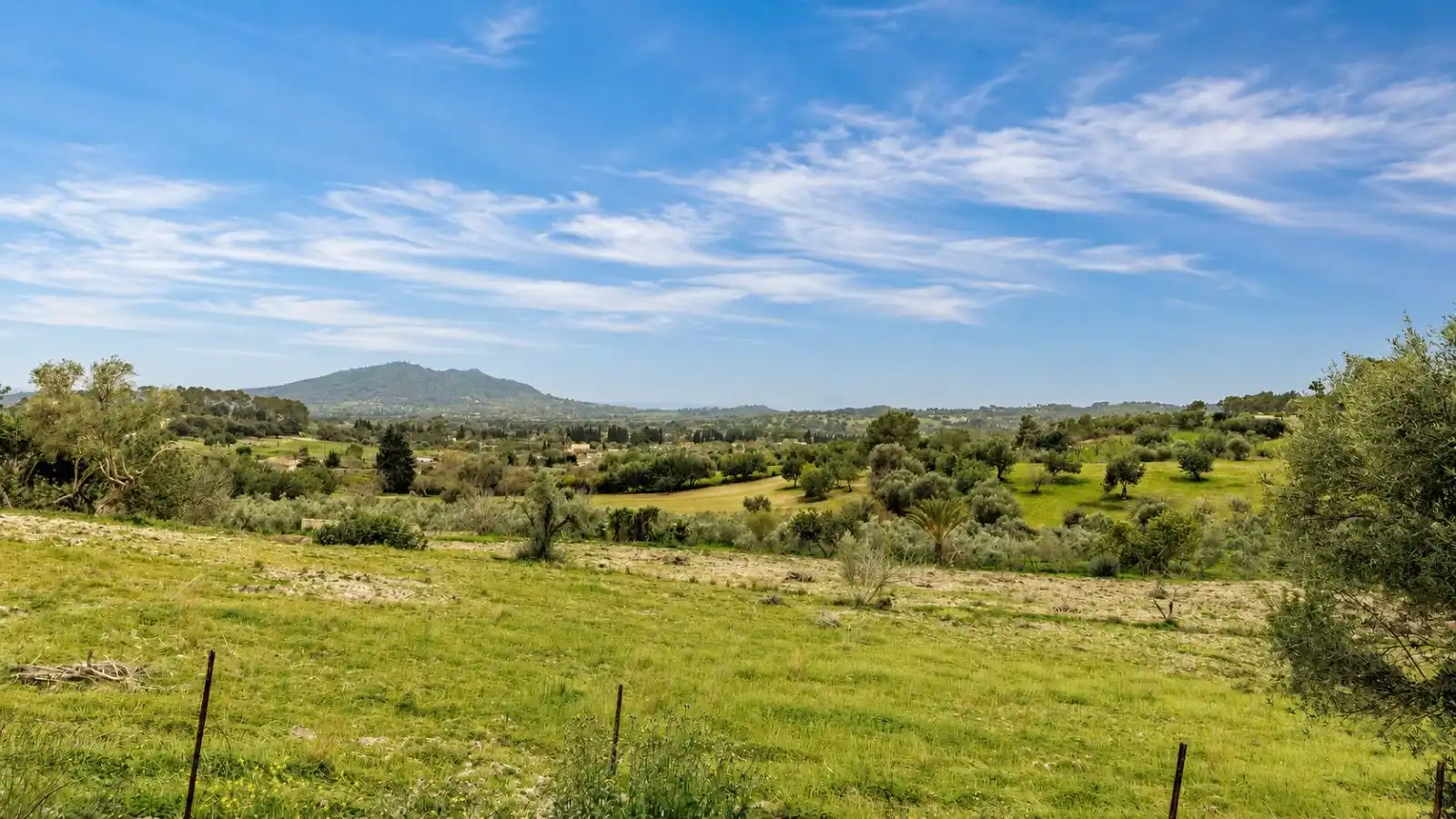 Residential for sale in Selva