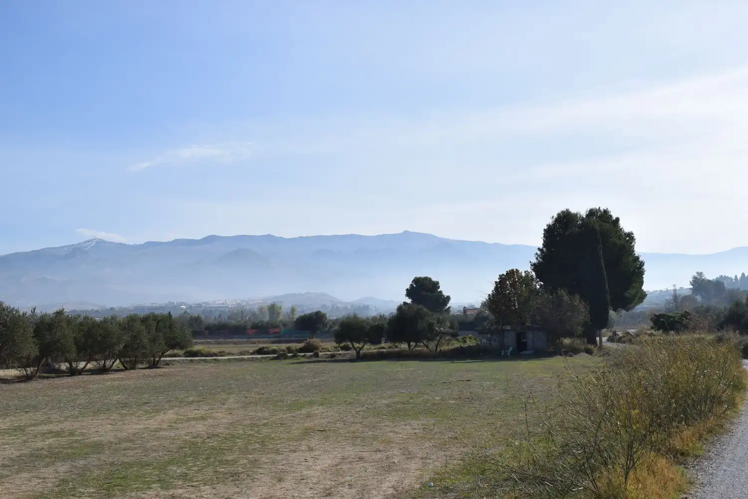 Terreno rustico in vendita a LOS MOLINOS, imagen 19