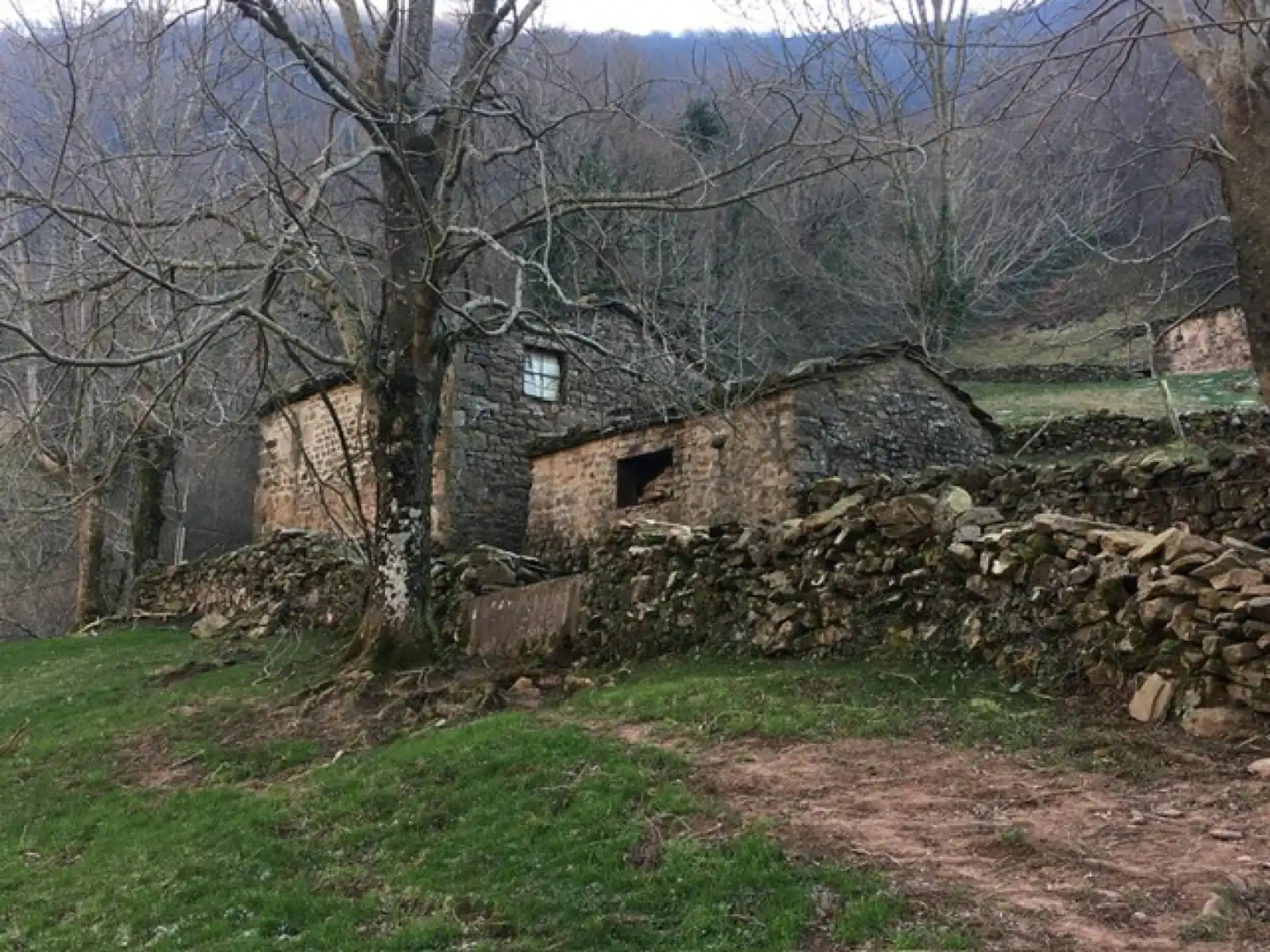 Vista exterior de Casa o chalet en venta en Vega de Pas