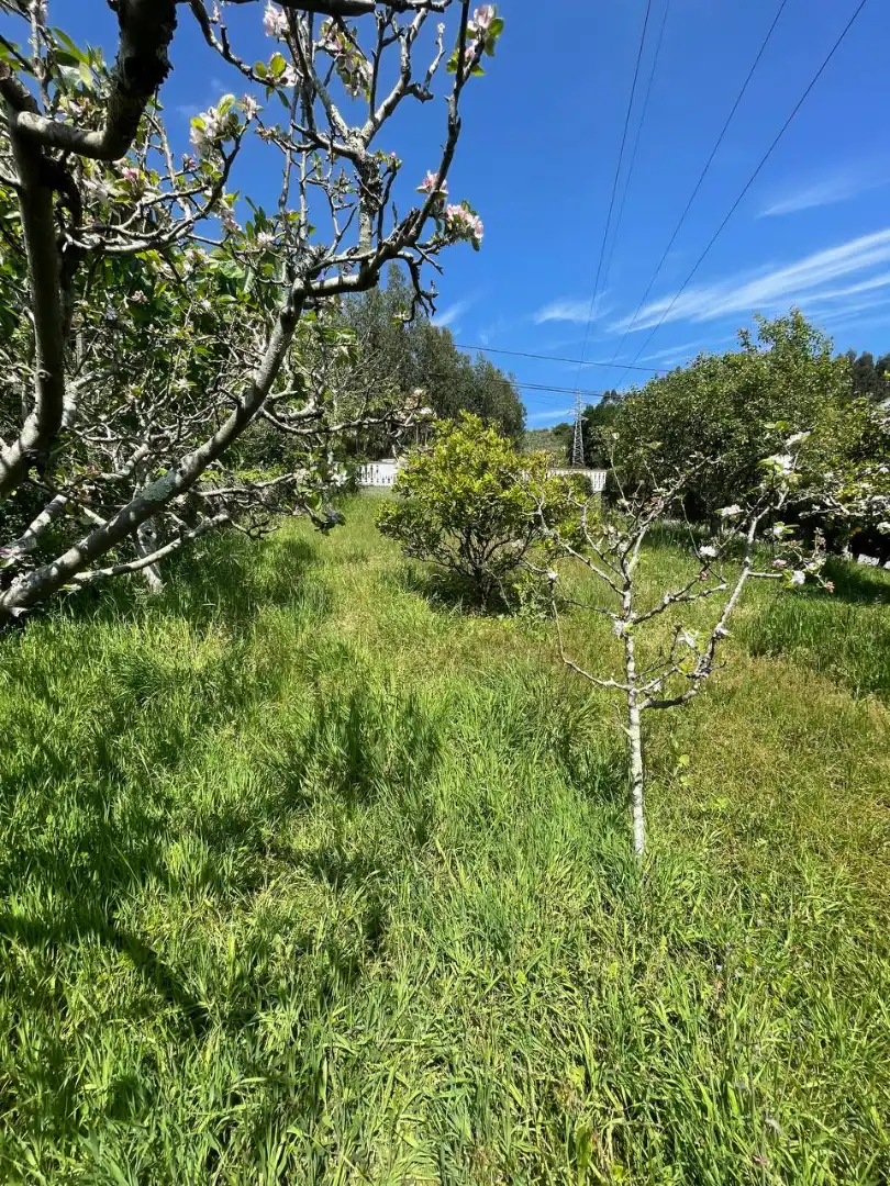 Houses for sale in Culleredo  with Private garden