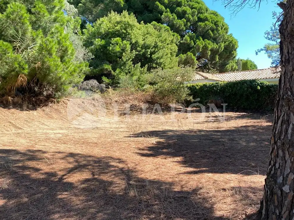 Terreny residencial en venda a Supermaresme, imagen 9