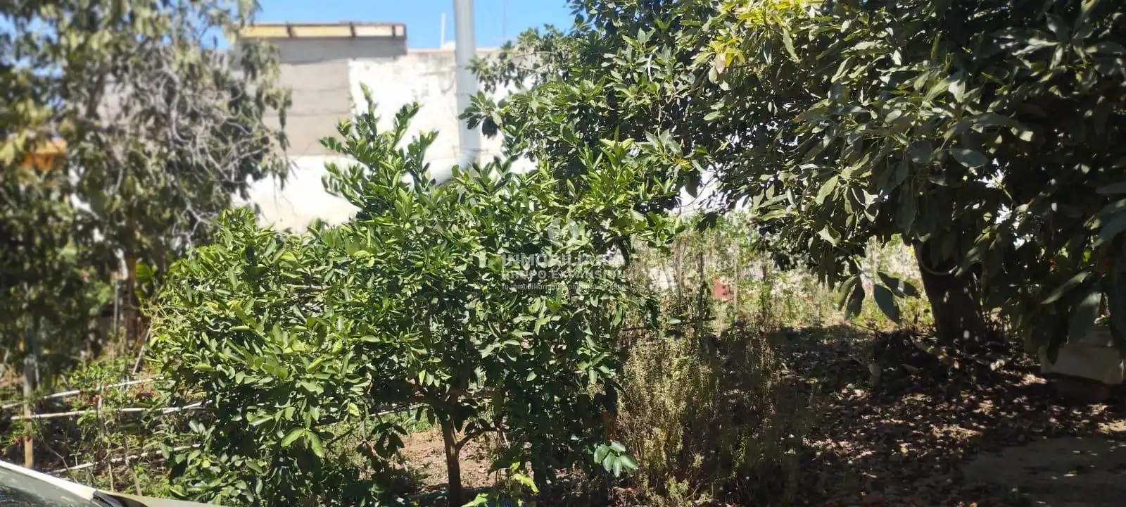 Casa o xalet en venda en La Orotava amb Terrassa i Traster