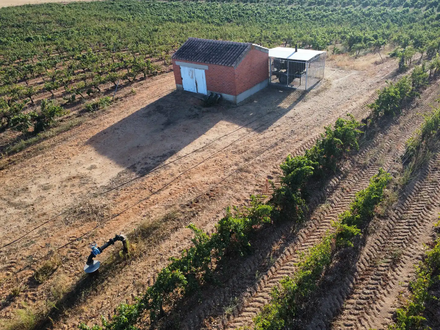 Terreno rustico in vendita a Rueda, imagen 12