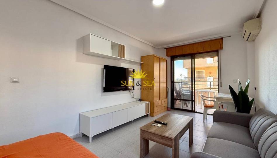 Photo 1 of Study to rent in Zona Carrefour - Urbanizaciones, Alicante