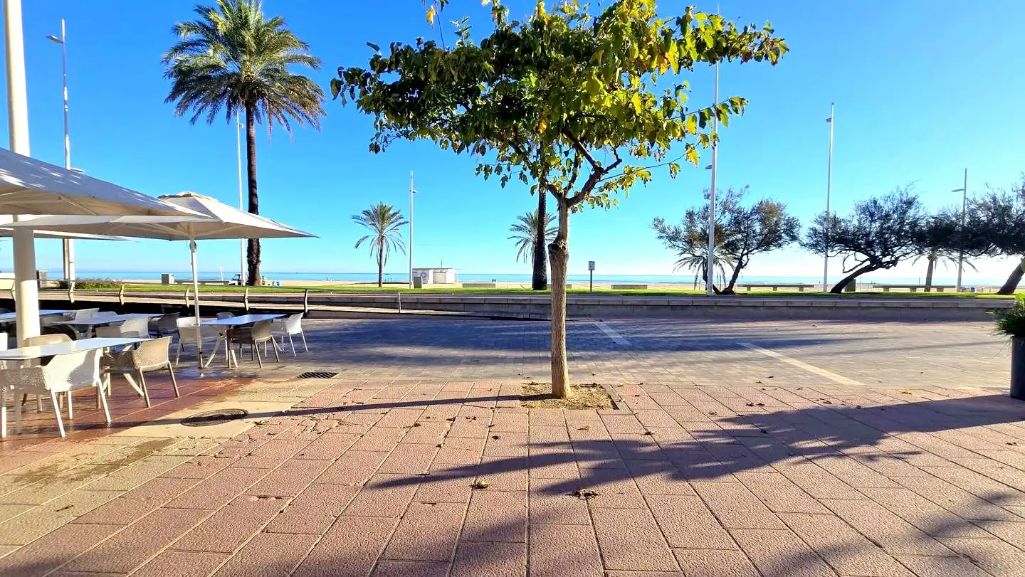 Vista exterior de Apartament de lloguer en Gandia amb Terrassa i Moblat
