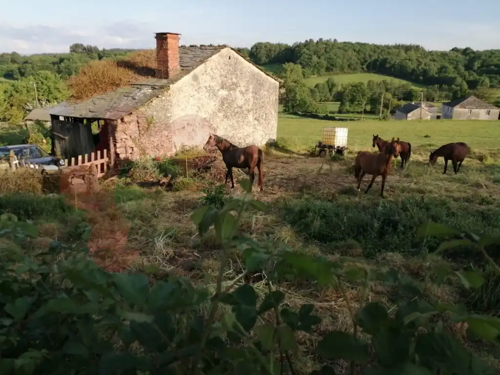 Maison à vendre à Sarria, imagen 3