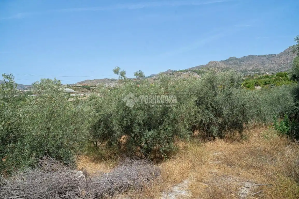 Casa rústica en venda a Monte los Almendros - El Pargo - Costa Aguilera, imagen 29
