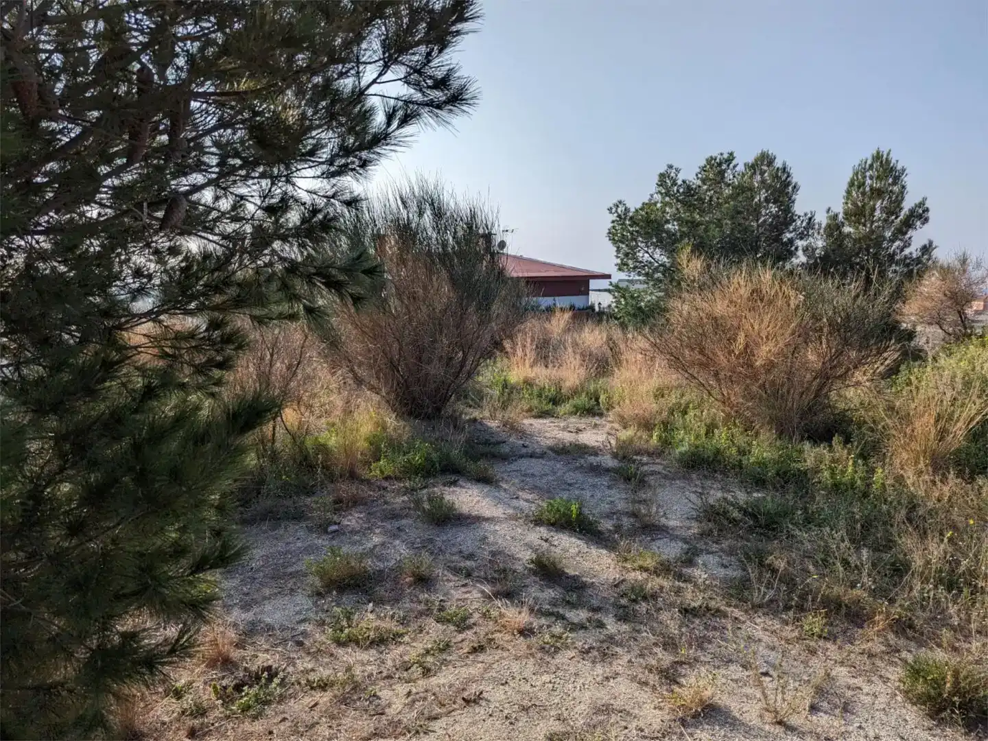 Terreno en venta en Califòrnia - Santa Madrona  