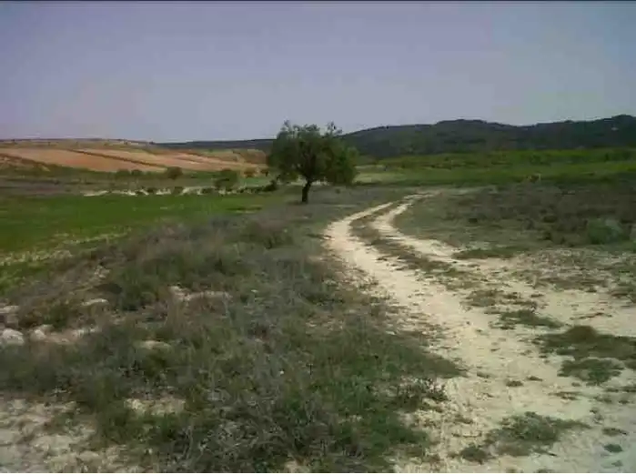 Terreny rústic en venda a Caravaca de la Cruz, imagen 5