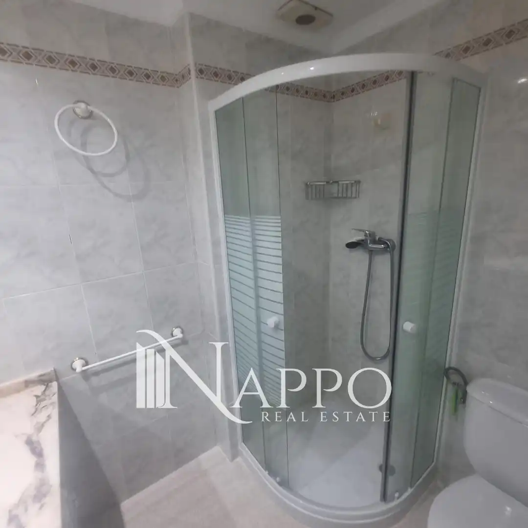 Appartamento con terrazza in affitto a Cabo Romano-Pl X, imagen 20