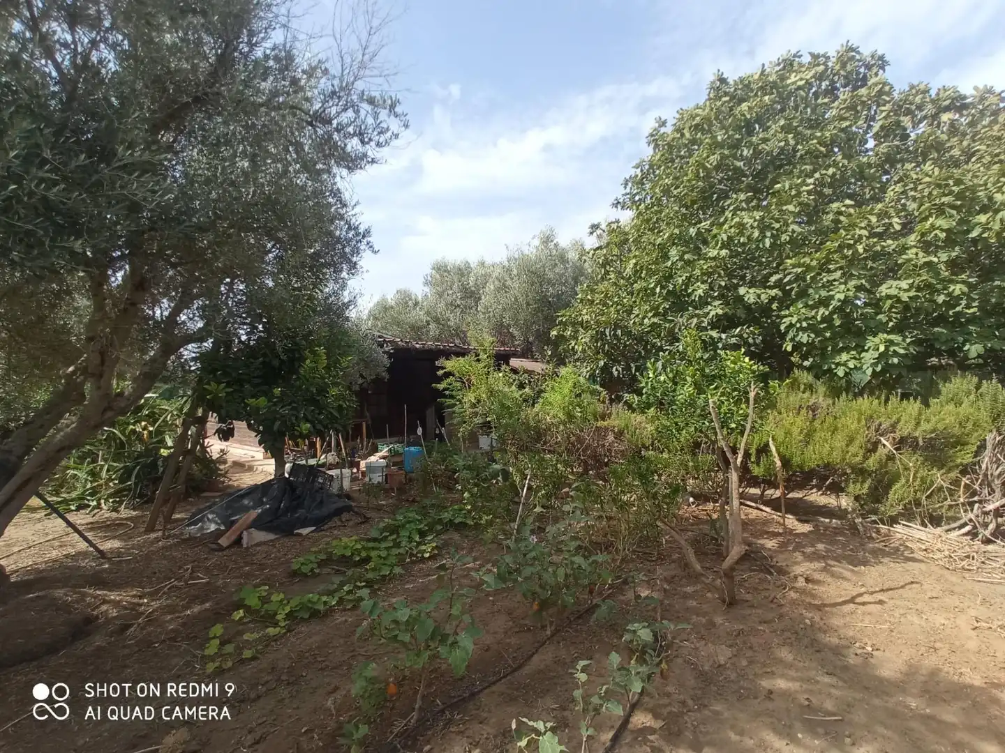 Casa o xalet en venda en Puerto Real amb Jardí privat, Piscina i Alarma