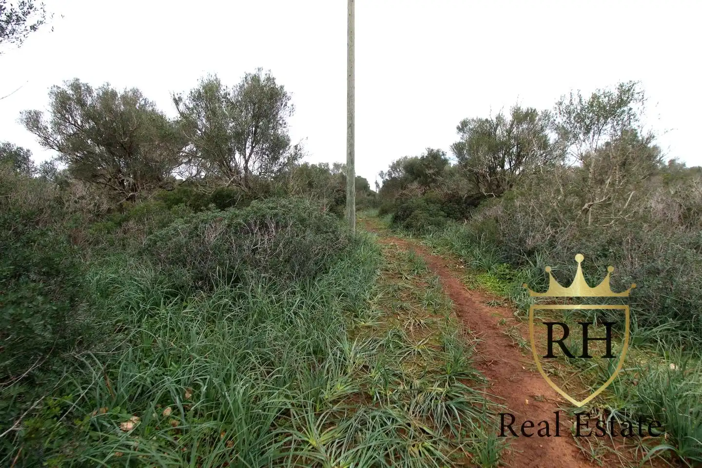 Lands and plots for sale in POLIGONO 49 PARCELA 3, imagen 19