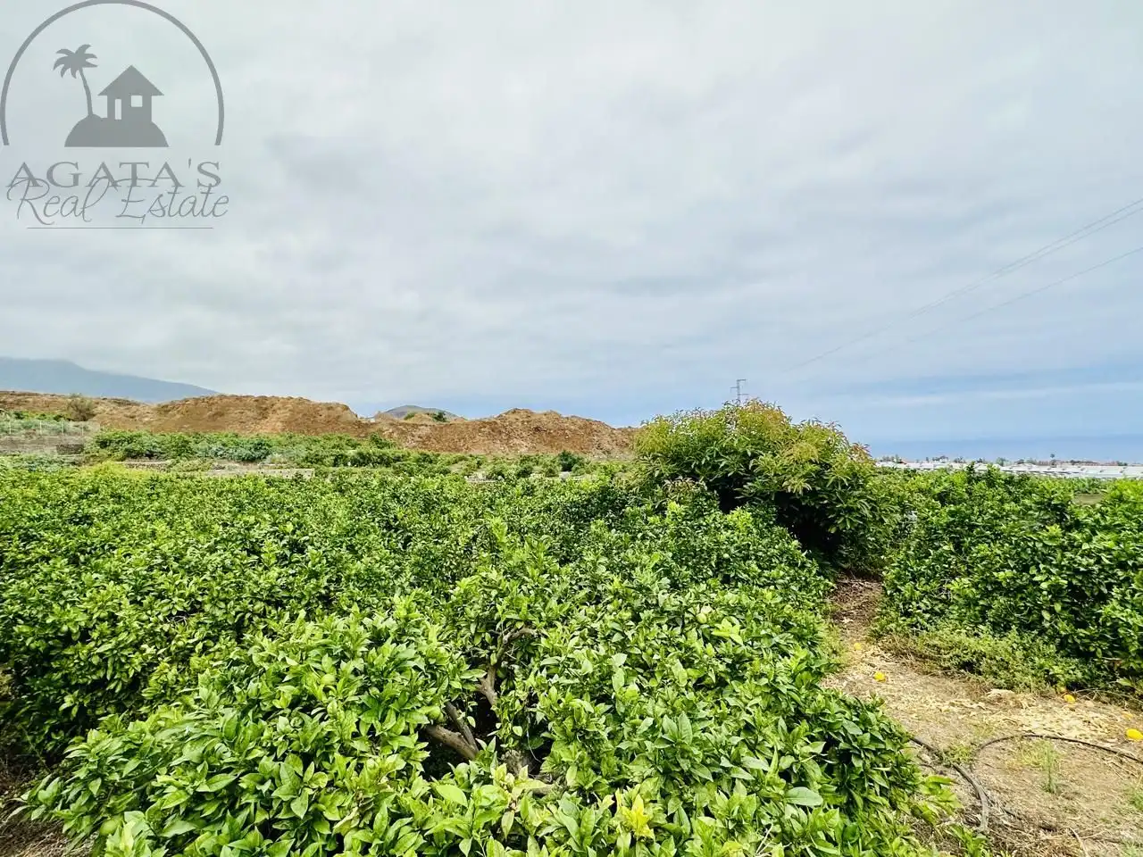 Finca rústica en venta en La Orotava con Jardín privado y Terraza