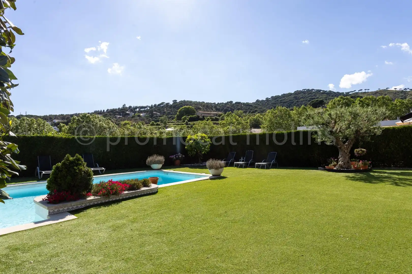 Jardín de Casa o chalet en venta en Teià