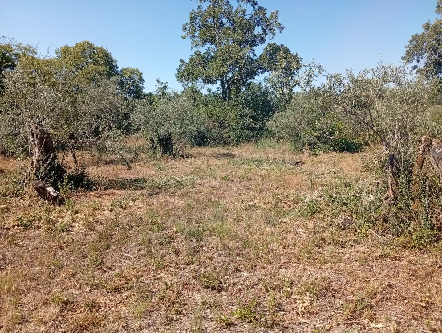 Terreni e lotti in vendita a Villanueva de la Vera, imagen 38