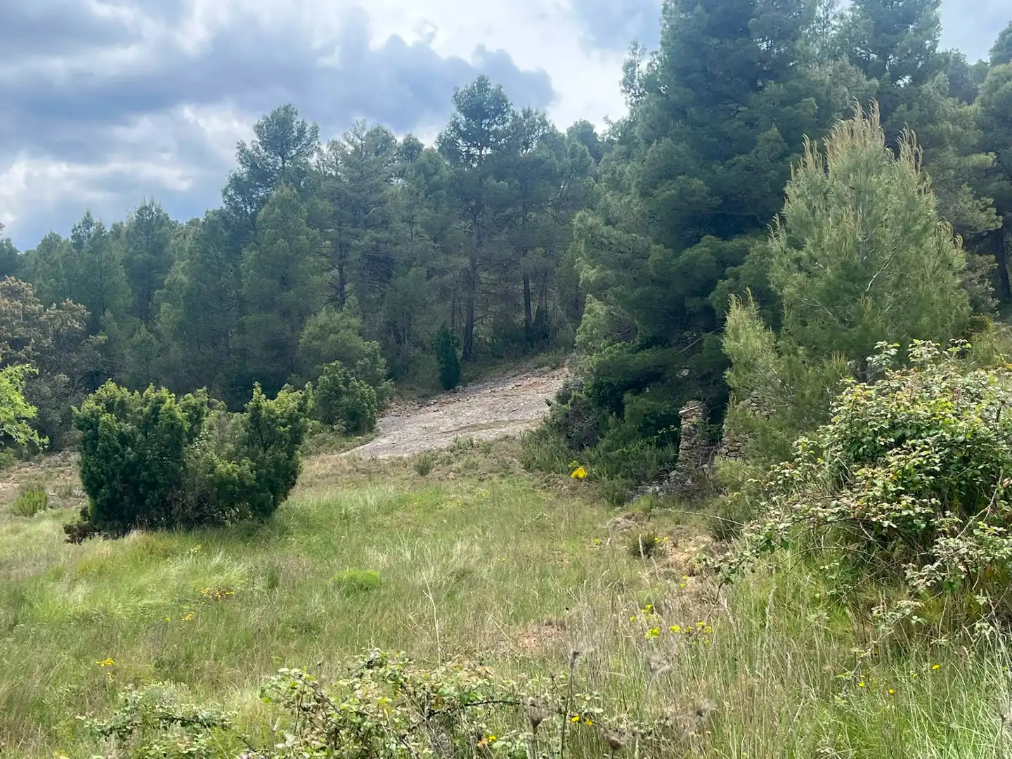 Terreni e lotti in vendita a Ráfales, imagen 2
